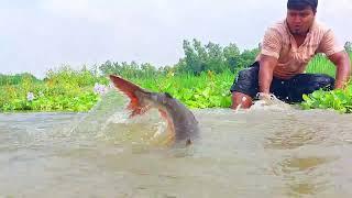 Wow Unbelievable Big Monster Fish Catching From Underwater from River 2022#fishing