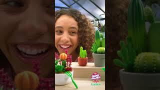 Create your own plant collection with new Mini Brands Create Garden! #minigarden #zurutoys