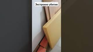 Экстренно убегаю  из дома! Внимание ️ осторожно блохи клопы тараканы из мусорки!