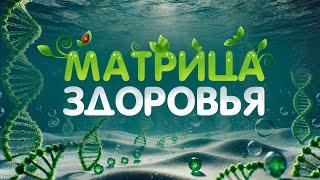 Матрица ЗДОРОВЬЯ для ИСЦЕЛЕНИЯ Всего Тела | Снятие БОЛИ и Восстановление ЗДОРОВЬЯ | Исцеление Звуком