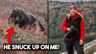 Photographing GRIZZLY BEARS  in Montana & Wyoming with my Sigma 150-600