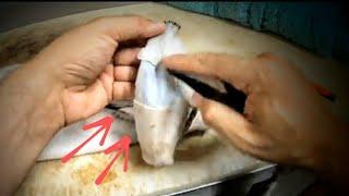 HOW TO REMOVE EAR CARTILAGE ***SUPER EASY*** WHITETAIL TAXIDERMY!