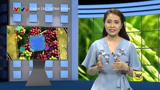 CANH TÁC THÔNG MINH SỐ 37: KỸ THUẬT CẤY LÚA HIỆN ĐẠI