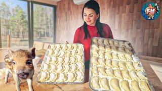 Life in the forest  Cooking dumplings with blueberries  Pets roam free