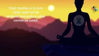 Seagull Celebrating International Yoga Day | Digi Nurture Videos