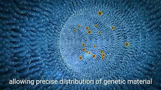 Understanding Chromosome