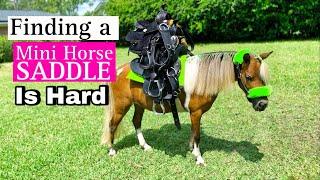 Trying Pony Saddles on a Mini Horse