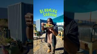 You may never go back to blooming onions after trying this!!! #cooking #bloomingonion #easycooking