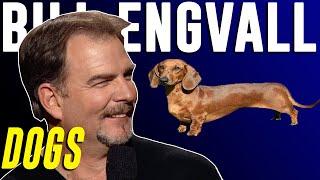 Bill Engvall - Dogs