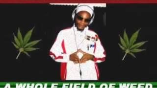 Prophet Benjamin  A Whole Field of Weed   YouTube