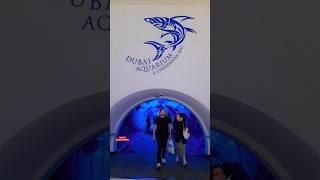 DUBAI AQUARIUM  #dubaimall #dubaiaquarium #underwaterzoo #dubai #viralshort #shorts