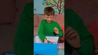 Mystery Box Challenge #FamilyBooms #shorts