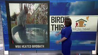 Birdie Thirty: Eyewitness News at 9:30am on 11-23-2024