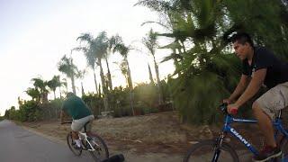 Mountain Biking in Alessandro Heights