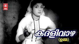 Kadhalivazha Kayyilirunnu | Umma | P Bhaskaran | MS Baburaj | Jikki | Evergreen Old Hits