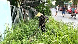 People are surprised that the beautiful neighborhood no longer has weeds and trash on the sidewalks