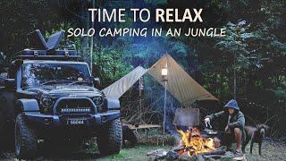 CAMPING and RELAXING in a Rain Forest with my Dog [Campfire Cooking, Jeep Wrangler Car camper] SoC13