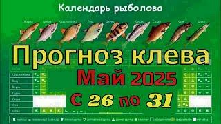 Прогноз клева рыбы на Эту неделю с 26 по 31 Мая 2025 по лунному календарю