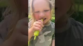 Toddler Eats Hot Pepper  #romeoeats #shorts #hotpepper