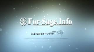 For Sage info Форсаж Инфо  ваш гид в Интернет Бизнесе