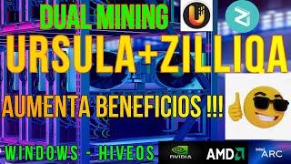 COMO MINAR URSULA + ZILLIQA - AUMENTA BENEFICIOS - WINDOWS Y HIVEOS - NVIDIA - AMD - INTEL - URSA