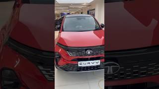 It looks STUNNING!! | TATA CURVV Diesel Walkaround -Indian Lamborghini! #curvv #cars #tatamotors