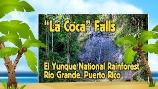 La Coca Falls, El Yunque National Rainforest - Puerto Rico