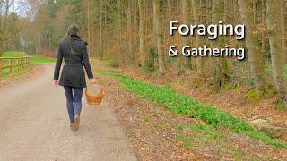 Hello Spring - The Time of Flowers and Wild Garlic | Foraging and Gathering from Nature