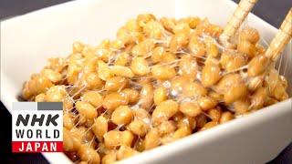 The Power of Natto, a Japanese Superfood - Medical Frontiers