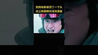 狗狗和新娘顶了一下头，这让新娘瞬间泪流满面