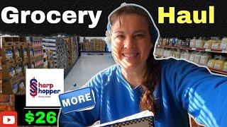 Extreme Budget Grocery Shopping Our Mobile Home $26 Challenge