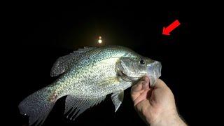 Crappie Fishing at Night Using Green Lights and Minnows!! (West Point Lake!)