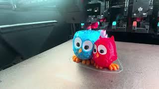 5 colour print - Cuddling Owls on DAKSH Tool Changer