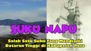 Suku Napu atau To Pekurehua (info budaya)