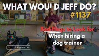 Red Flags to Look For in a Dog Trainer What Would Jeff Do? #1137 dog training q & a