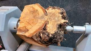 Ugly Wood Is My Favourite Wood, Don't Burn It !!