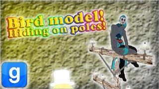 Gmod! Guess who! Bird hat! Electric pole hiding spot!