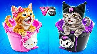 One Colored Cat House Challenge! Hello Kitty vs Kuromi