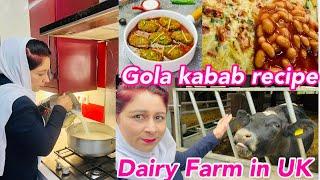 Gola Kabab Masala Recipe | Paratha Omelette || Fresh Milk From Dairy Farm || A Day In My Life In UK