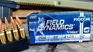 Fiocchi .204 Ruger Ammo - 100 Yard Group Test