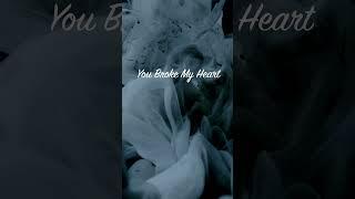 Mohamed Lotfy - You Broke My heart - Promo