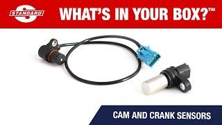 Standard® Cam and Crank Sensors