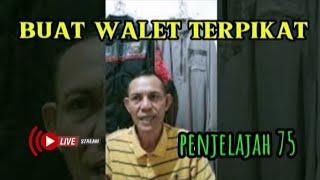 rahasia budidaya walet cepat beradaptasi dan berkeloni...