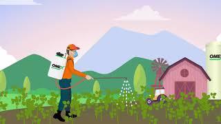 Why Foliar Fertilizers ?