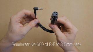 Quick Look: Sennheiser KA-600 XLR-F to 3.5mm Jack