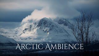ARCTIC Ambience - sounds of blizzard with atmospheric fantasy music