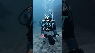 PADI MSDT DPV Specialty Instructor training on Koh Tao  #short #thailand #scubadiving  #shorts