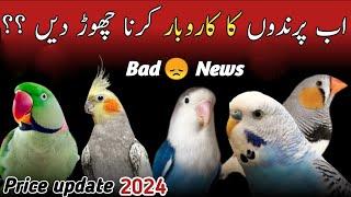 Birds new price 2024 Pakistan | All parrot new rate | birds price update today | parrots price 2024