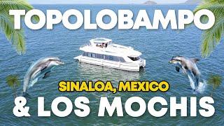 TOPOLOBAMPO y LOS MOCHIS  SINALOA MÉXICO Qué hacer? Donde hospedarse? Vimos al DELFIN PECHOCHO