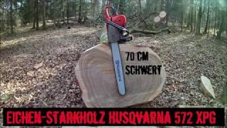 Große Eichen fällen mit der Husqvarna 572 XPG mit 70cm Schwert